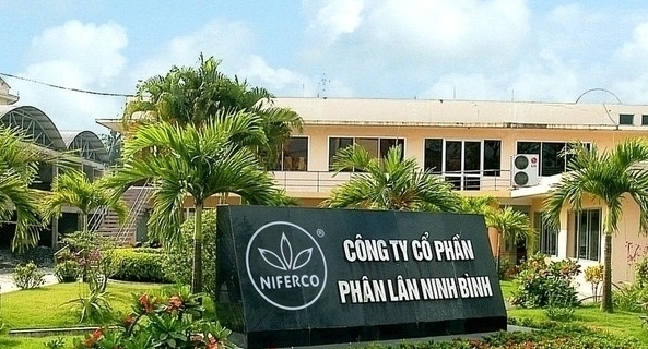 Tiền gửi ngân hàng của Phân lân Ninh Bình tăng 6,8 lần