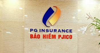 Bảo hiểm Petrolimex sắp chi gần 111 tỷ đồng tạm ứng cổ tức năm 2023