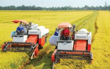 Khởi động dự án hợp tác giữa doanh nghiệp nông nghiệp Việt Nam - Australia