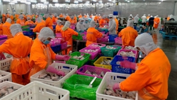 Thành viên Navico mua hàng triệu cổ phiếu theo chương trình ESOP