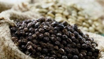 Xuất khẩu hồ tiêu được dự báo sôi động trong quý I/2023