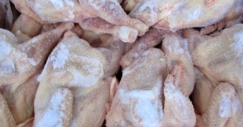 ‘Không có chuyện tràn lan gà thải loại vào Việt Nam’