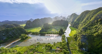 Nao lòng vẻ đẹp như tranh mùa vàng Tam Cốc