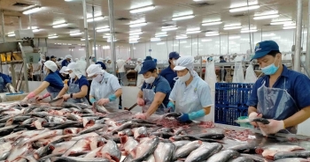 Navico sẽ phát hành 133 triệu cổ phiếu, chia cổ tức tỷ lệ 10%