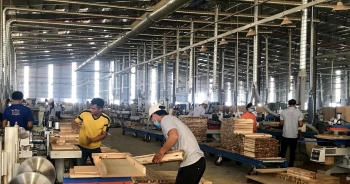 Xuất khẩu gỗ giảm tháng thứ 7 liên tiếp