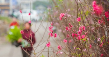 Bộ Nội vụ 'chốt' phương án nghỉ Tết nguyên đán 7 ngày