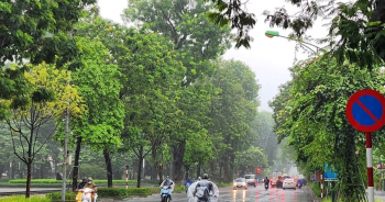 Thời tiết ngày 2/10: Bắc Bộ ngày nắng, Trung Bộ và Nam Bộ có mưa