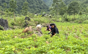 Cao Bằng thúc đẩy phát triển kinh tế vùng đồng bào dân tộc thiểu số
