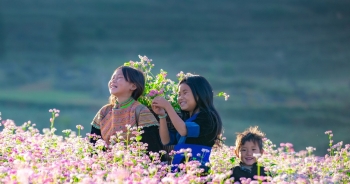 Ngắm nhìn cao nguyên đá nở hoa trên mảnh đất Hà Giang